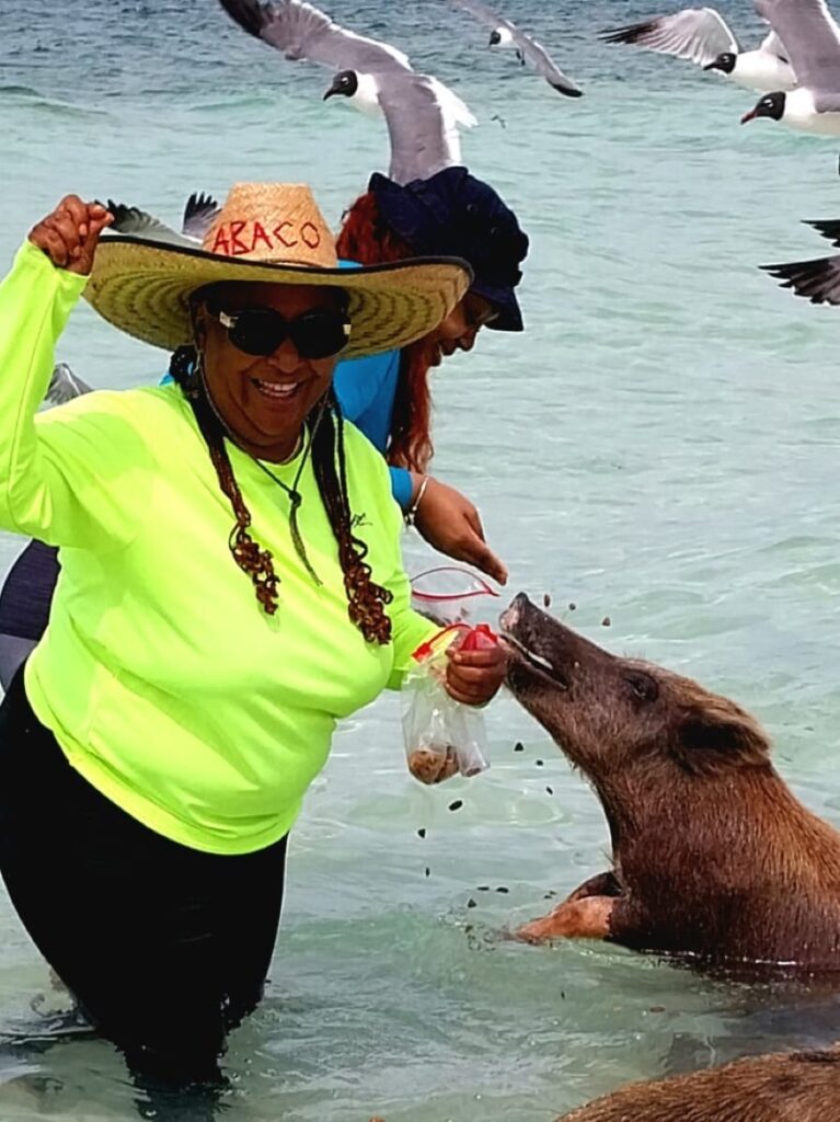 The Great Abaco Express